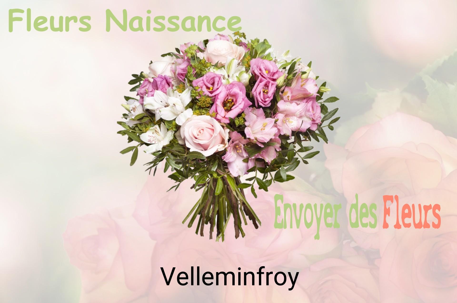 Bouquet de fleurs de naissance livré à Velleminfroy